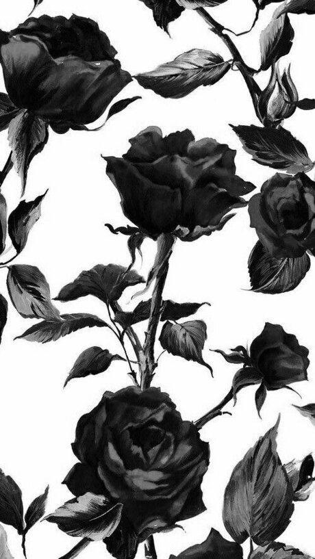 Tessie12 onlyfans images