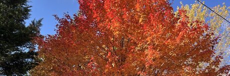 Southerncub nude onlyfans