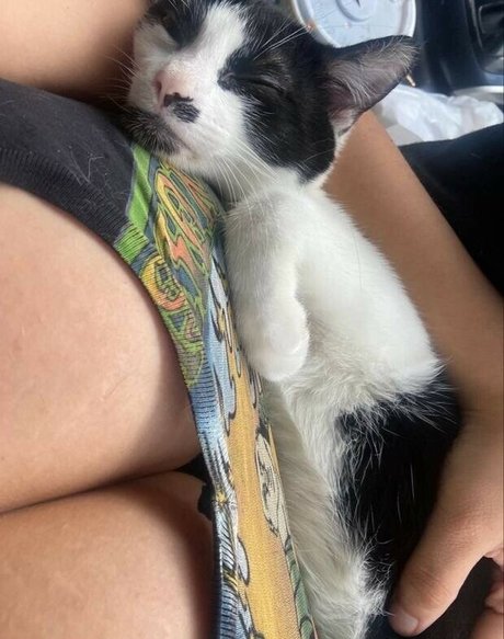 Uculdcme onlyfans nudes leaks