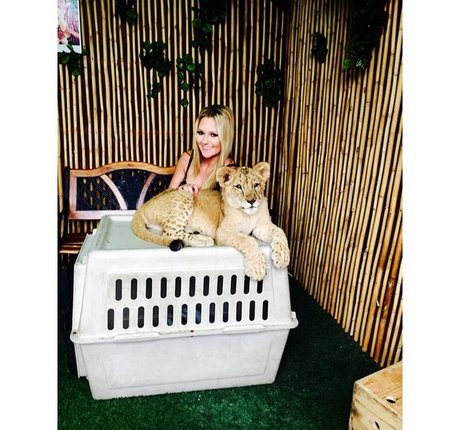 Amber BeIarski onlyfans images