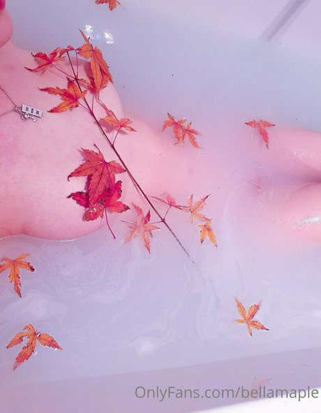 waifubellafree only fans leak nude