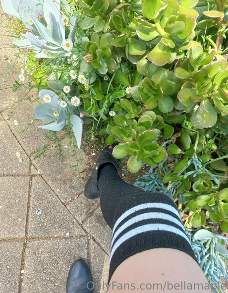 waifubellafree onlyfans leaks