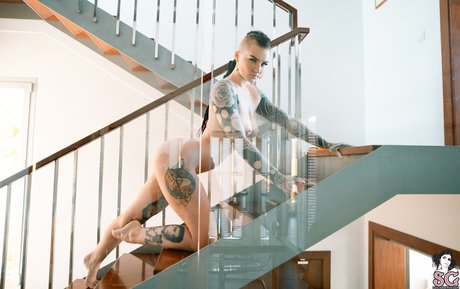 Sierhaus only fans nude leaks