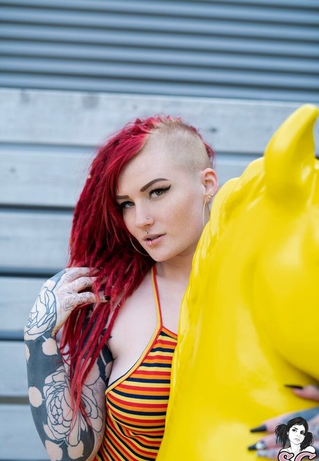 Sierhaus Profile pic