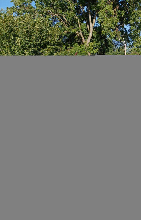 bomba_ onlyfans porn