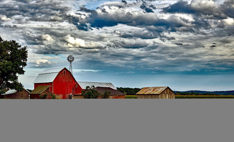 Pearl s Babes_ onlyfans leaked free