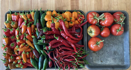 GardenPapi only fans porn