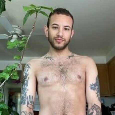 Greera08 leaked only fans