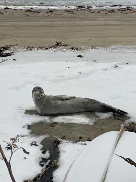 u389531284 is on onlyfans