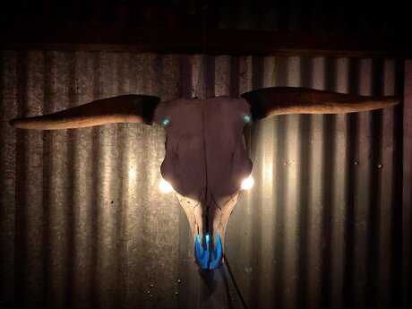 SoloWandering new onlyfans leaks