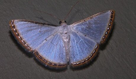 lucy onlyfans leaked