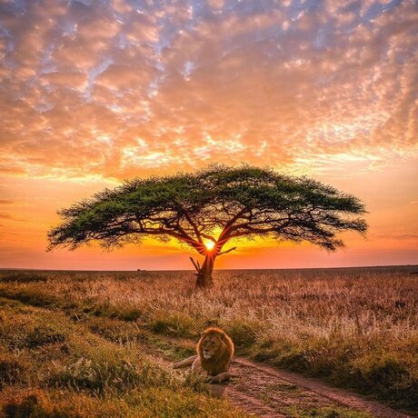 King Rah22_ onlyfans pics nude