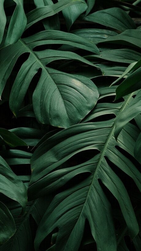 Britney_ leaks onlyfans