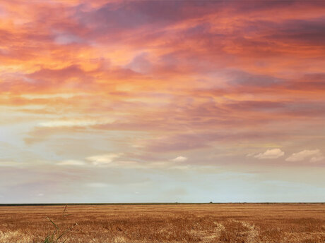 Kristian Zaz onlyfans sex