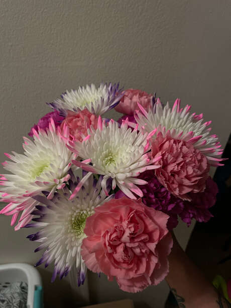 Alana hope_ nude on onlyfans