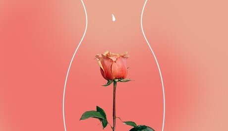 BabyT_ onlyfans naked leaked