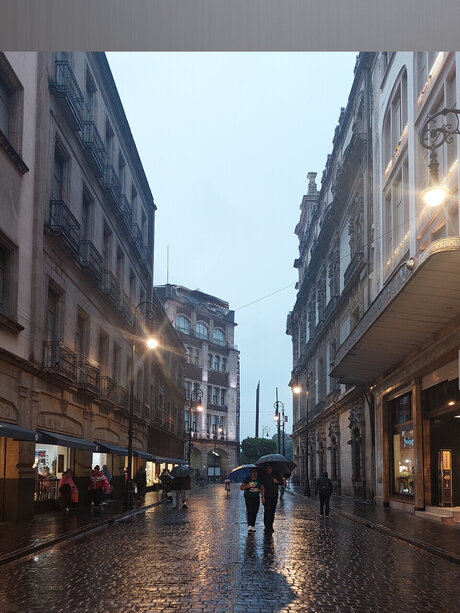 TheCosmosGirl feet onlyfans