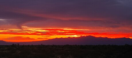 Matthew Alequin onlyfans leak ass