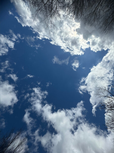 Hoe2WHOLESOME is on onlyfans