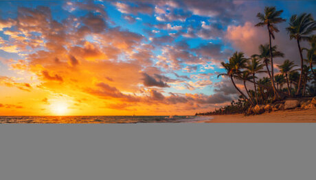 Passionate_ nudes only fans