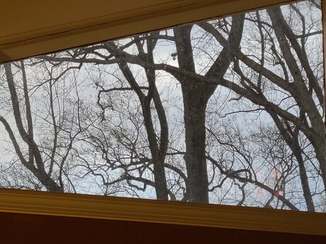 Trans M lf porn only fans