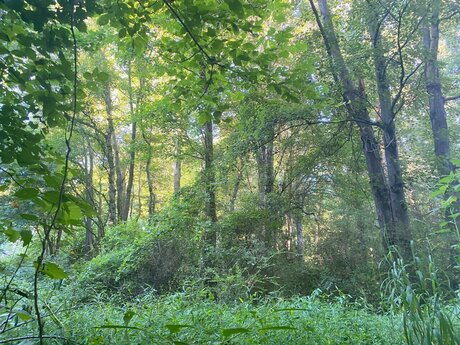 Tattoobabie08 FREE onlyfans porn