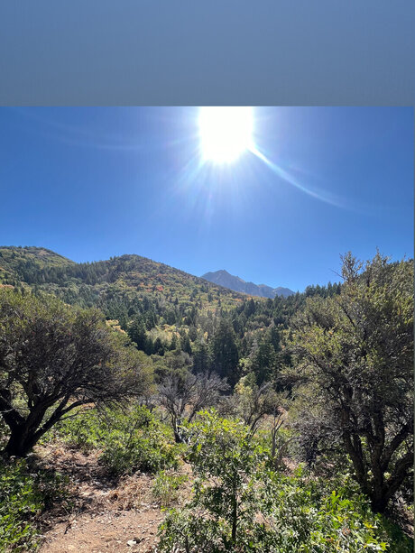 WhiteWolf leaked onlyfans