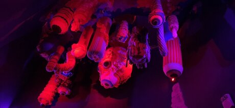 Nala Kinks only fans nude leaks