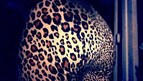 NotYourAngel only fans nudes