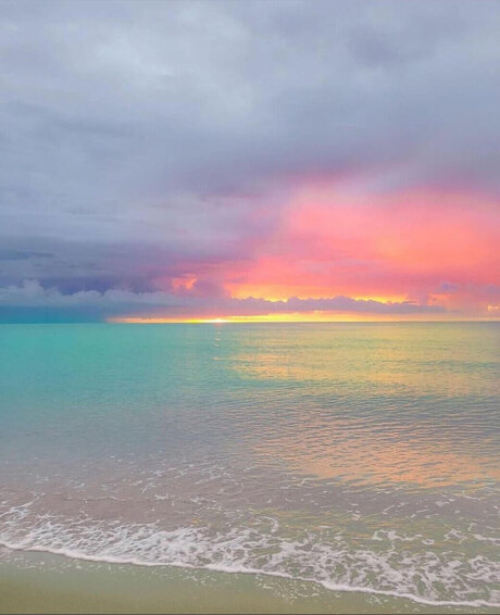 C H A N E L only fans nudes