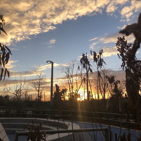 Ander Alejandro leaked only fans porn