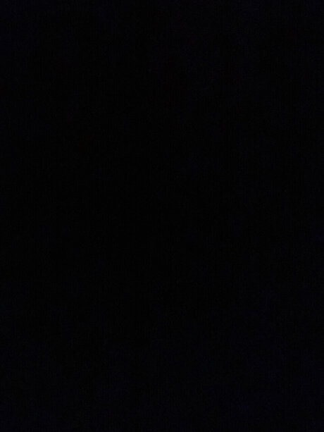 Bailie dianna leak only fans