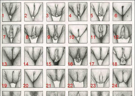 whitedovecries onlyfans leak naked