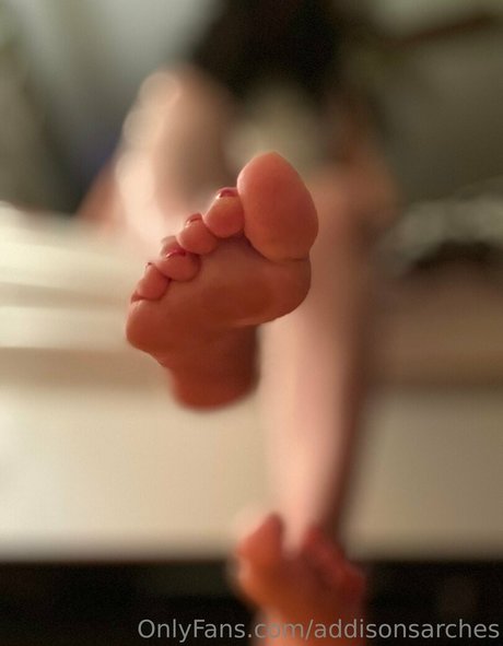 addisonsarches onlyfans porn free