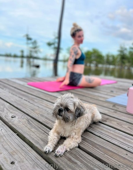 stellafreexxx onlyfans leaked sex