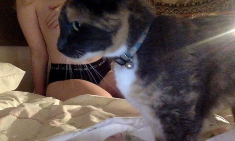 garbage bunni onlyfans leak porn