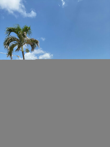 BiaBunnyy only fans leaks porn