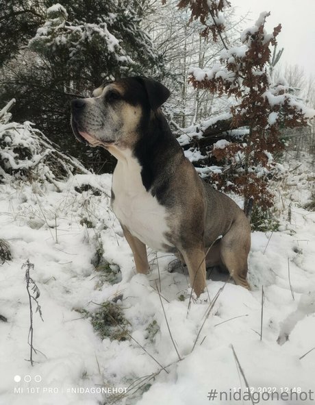 kim privat onlyfans content