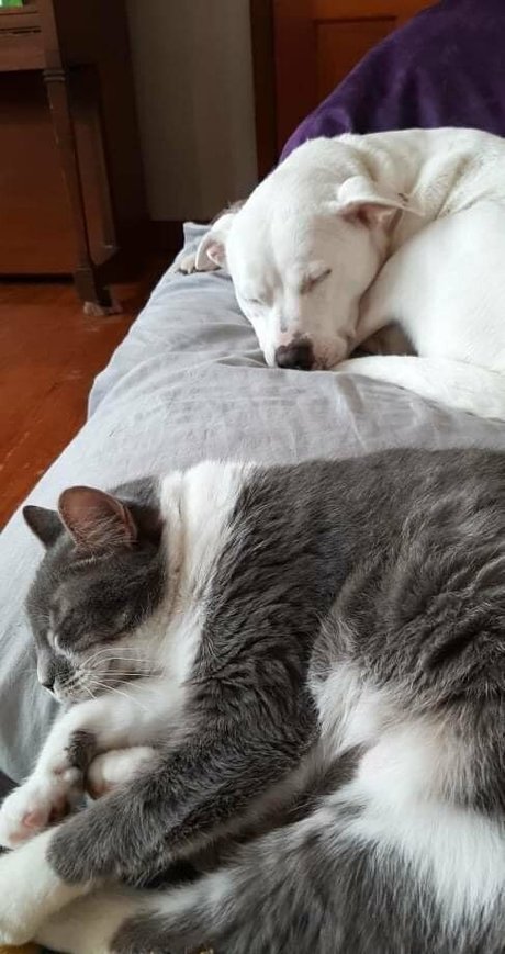 gorgeousgreeneyes free onlyfans porn