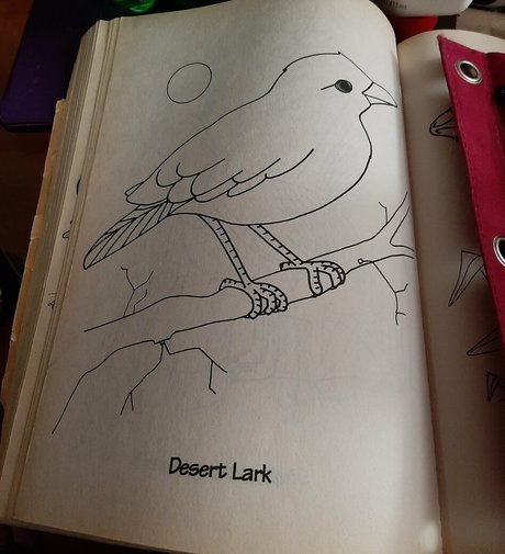 gorgeousgreeneyes nude onlyfans