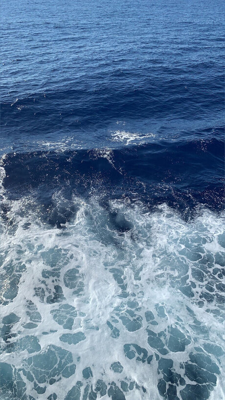 Lily_ onlyfans leakes