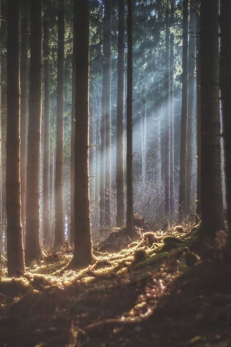 Goddess_ onlyfans desnuda