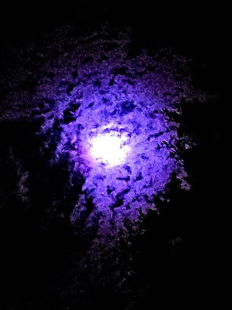 WireFramed new onlyfans