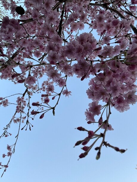 Cathy onlyfans naked porn