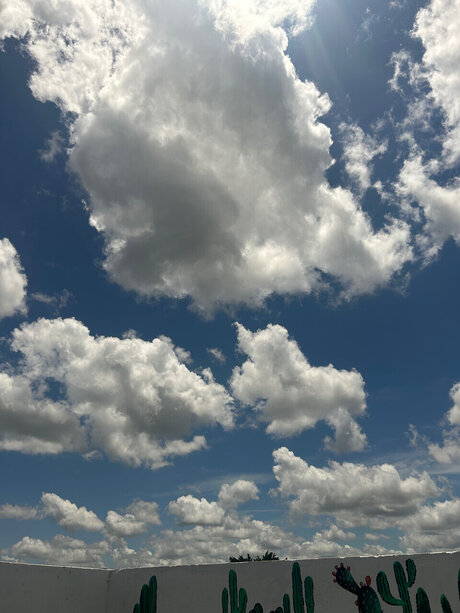 Dany love 22 only fans review