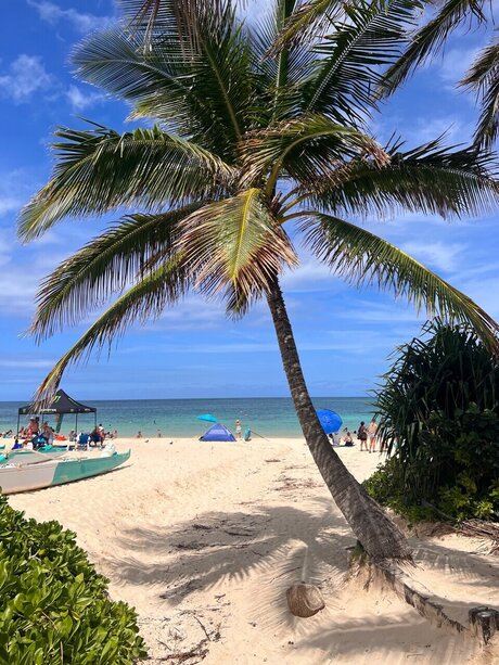 Mr Bear onlyfans striptease