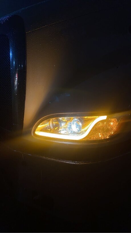 Ceecee DeVille onlyfans sex