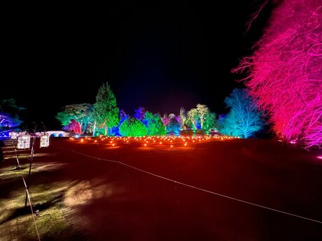 BigBoyLen nude on onlyfans