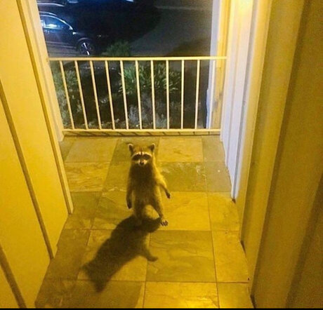 Franklin onlyfans leak sex