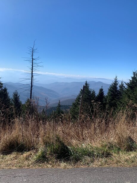 Sexy baddy onlyfans leak